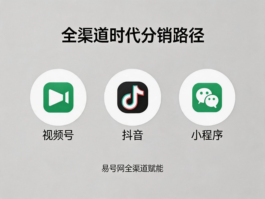 全渠道分销与流量转化图